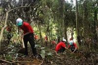 Trong ảnh: Các em học sinh và các tình nguyện viên tham gia trồng rừng tại Vườn quốc gia Bến En, tỉnh Thanh Hóa. (Ảnh: Trịnh Duy Hưng - TTXVN)