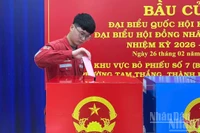 Cử tri bỏ phiếu tại khu vực bỏ phiếu sớm số 7, bầu đại biểu Quốc hội khóa XVI và đại biểu Hội đồng nhân dân các cấp nhiệm kỳ 2026-2031, ngày 26/2/2026, tại phường Tam Thắng, Thành phố Hồ Chí Minh. (Ảnh: HẢI CHÍNH)