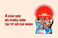 [Infographic] Bốn khu vực bỏ phiếu sớm tại Thành phố Hồ Chí Minh