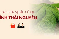 [Infographic] Các đơn vị bầu cử đại biểu Quốc hội tại tỉnh Thái Nguyên