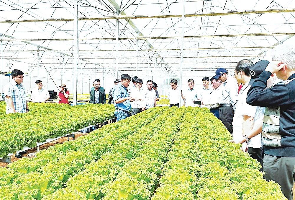 Nông dân Đồng Nai chủ động thích ứng với thời đại số, ứng dụng công nghệ cao