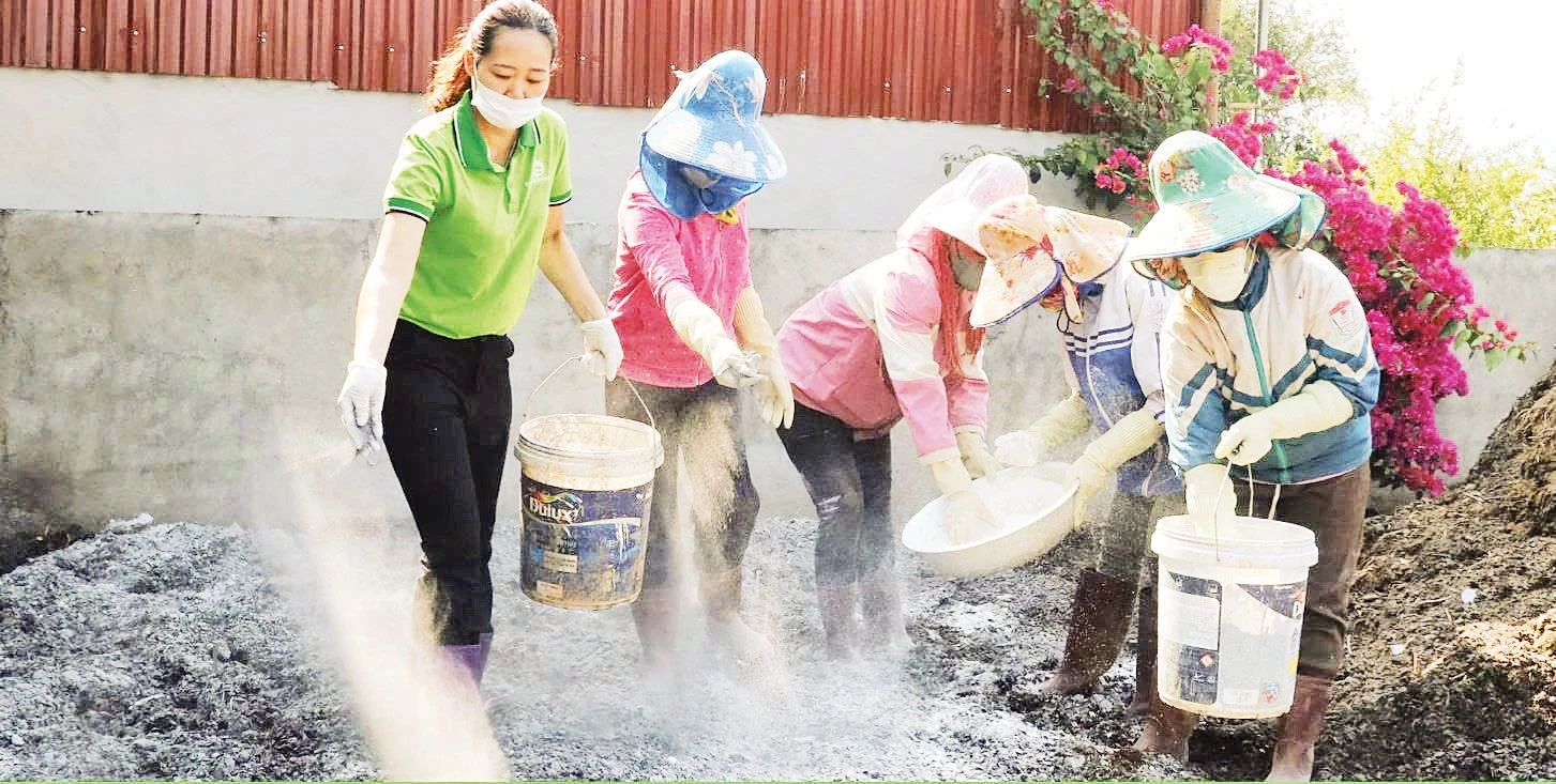 Tái sinh vỏ cà phê thành phân bón hữu cơ vi sinh ở Sơn La