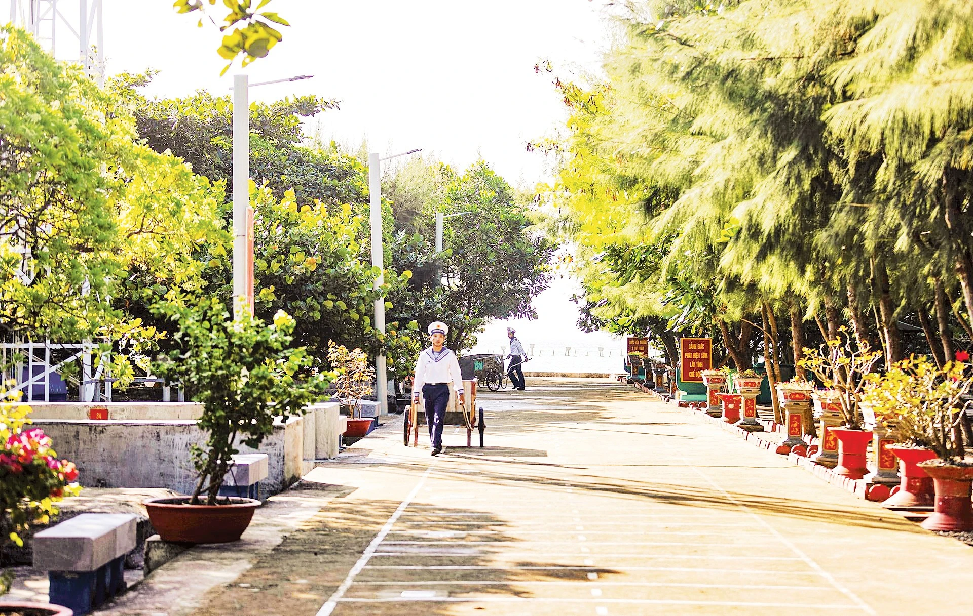 Phủ xanh Trường Sa: Hành trình mang cây ra đảo và khôi phục hệ sinh thái
