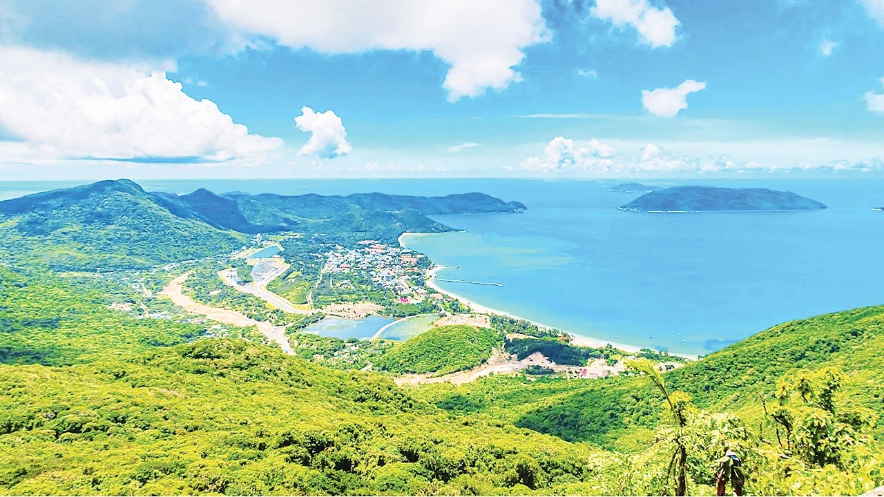 Vườn Quốc Gia Côn Đảo: Kho Báu Đa Dạng Sinh Học Và Thành Tựu Bảo Tồn Nổi Bật