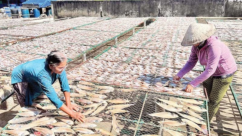 Làng nghề cá khô Bình Thắng tất bật vào vụ Tết.