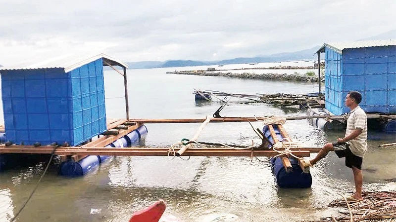 Ông Nguyễn Tấn Cường trăn trở vì chưa có vốn để làm lại lồng bè, ghe thuyền và mua con giống cho vụ mùa mới.