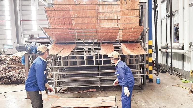 Sản xuất các loại ván công nghệ cao, phục vụ xuất khẩu tại Công ty cổ phần Ván sàn Hòa Phát (Khu công nghiệp Châu Đức, xã Nghĩa Thành, Thành phố Hồ Chí Minh). (Ảnh Cộng tác viên)