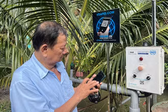 Hệ thống tưới nước tự động tại Hợp tác xã Bưởi da xanh Giồng Trôm (Bến Tre).
