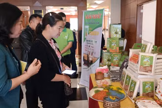 Lần đầu tiên, tỉnh Thái Bình tổ chức hội nghị chuyên đề về phát triển thị trường lúa gạo.