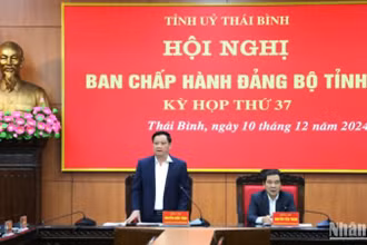 Tỉnh Thái Bình yêu cầu các cơ quan, đơn vị không thuộc diện sáp nhập cũng phải chủ động tinh giảm bộ máy bên trong tối thiểu từ 20% trở lên.