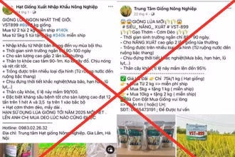 Các đối tượng rao bán lúa giống VST-899 trên các trang mạng xã hội. (Ảnh Công an cung cấp)