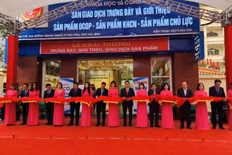 Cắt băng khai trương Sàn giao dịch công nghệ và thiết bị tại tỉnh Thái Bình.