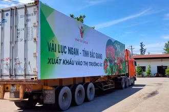 Tăng cường kết nối logistics thúc đẩy tiêu thụ, xuất khẩu nông lâm thủy sản.