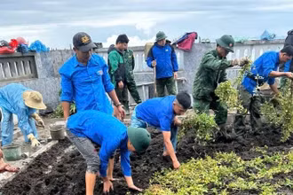 Đoàn viên thanh niên xã Sín Thầu, huyện Mường Nhé trồng cây quanh khuôn viên Cột cờ A Pa Chải.