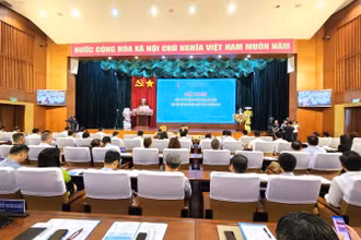 Hội nghị có sự tham gia của lãnh đạo tỉnh Bà Rịa-Vũng Tàu và hơn 300 đại diện doanh nghiệp, nhà đầu tư trên địa bàn tỉnh.