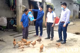 Cán bộ, đảng viên Văn phòng Ủy ban nhân dân huyện Bát Xát “đỡ đầu” xóa nghèo 20 hộ ở xã Trịnh Tường, huyện Bát Xát. 