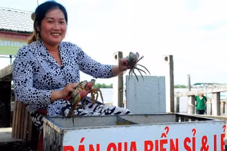 Thương lái bán cua ở thị trấn Năm Căn (huyện Năm Căn) cho hay giá cua trong ngày 11/1 tăng gấp đôi với 7-10 ngày trước. 