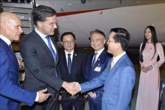 Bộ trưởng Bộ Khoa học và Công nghệ Huỳnh Thành Đạt, Thứ trưởng Bộ Ngoại giao Hà Kim Ngọc, Đại sứ Việt Nam tại Hà Lan Ngô Hướng Nam đón Thủ tướng Hà Lan Mark Rutte tại sân bay Quốc tế Nội Bài. (Ảnh: Minh Đức/TTXVN)