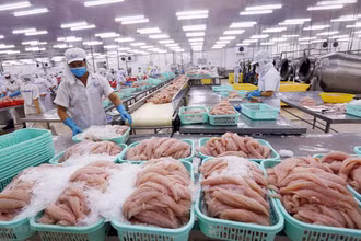Xuất khẩu thủy sản đang gặp khó.