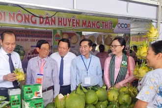 Đại biểu tham quan các gian hàng trưng bày sản phẩm đặc sản vùng miền.