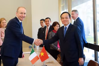 Phó Thủ tướng Trần Lưu Quang và Phó Thủ tướng, Bộ trưởng Ngoại giao và Quốc phòng Cộng hòa Ireland Michéal Martin. (Ảnh: baochinhphu.vn)
