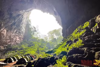 Cửa hang Pygmy, hang động lớn thứ tư thế giới, nằm trong vùng lõi VQG Phong Nha-Kẻ Bàng. (Ảnh: Mỹ Hạnh)