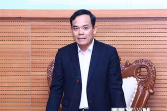 Phó Thủ tướng Trần Lưu Quang là Tổ trưởng Tổ công tác đặc biệt của Thủ tướng . (Ảnh: Lâm Khánh/TTXVN)