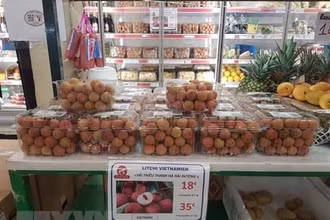 Vải thiều Thanh Hà được bán tại siêu thị ở Paris (Pháp). (Ảnh: TTXVN) 