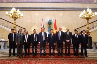 Trưởng Ban Kinh tế Trung ương Trần Tuấn Anh và Quốc vụ khanh Bộ ngoại giao Anh Graham Stuart (thứ 4 từ trái sang) và Bộ trưởng Văn phòng nội các Anh Nigel Adams (thứ 6 từ trái sang) tại nhà khách Chính phủ Anh. (Ảnh: TTXVN) 
