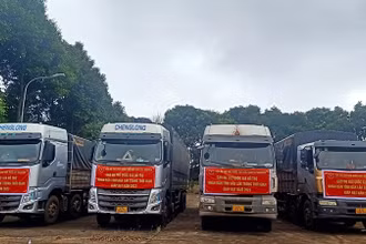 Xe gạo dự trữ quốc gia chuẩn bị được vận chuyển đến các huyện trên địa bàn tỉnh Đắk Lắk.
