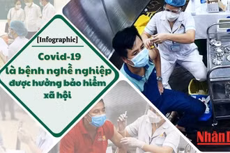 [Infographic] Quy định về Covid-19 là bệnh nghề nghiệp được hưởng bảo hiểm xã hội 