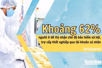 [Infographic] Khoảng 62% người ở đô thị nhận chế độ bảo hiểm xã hội, trợ cấp thất nghiệp qua tài khoản cá nhân 