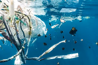 Ảnh: ouroceanpanama2023.gob.pa.