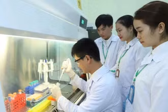 [Video] Bố trí nhà và xe công vụ cho nhà khoa học đầu ngành