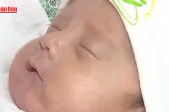 [Video] TP Hồ Chí Minh nghiên cứu hàng loạt chính sách hỗ trợ cho phụ nữ mang thai và sinh con