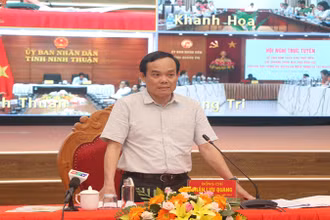 Phó Thủ tướng Chính phủ Trần Lưu Quang phát biểu tại hội nghị.