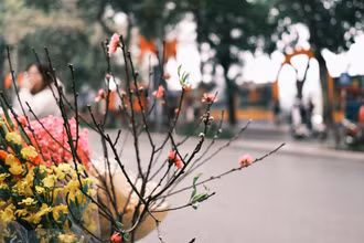 Hà Nội ngày cuối cùng của năm 2024