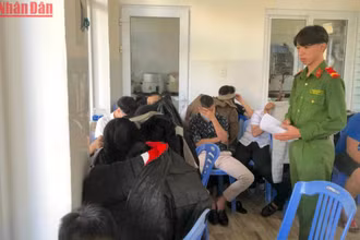 Các đối tượng đang bị tạm giữ tại Công an quận Thanh Khê. (Ảnh: ANH ĐÀO)