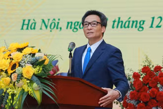 Phó Thủ tướng Vũ Đức Đam. (Ảnh: VGP)