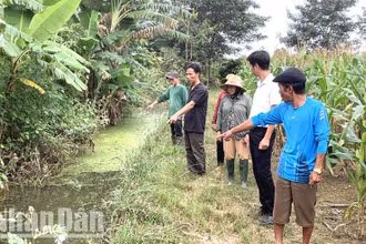 Thời tiết ở Đắk Lắk đang trong giai đoạn mùa mưa, có nhiều vũng nước đọng và nhiệt độ, độ ẩm thích hợp cho muỗi sinh trưởng, phát triển khiến bệnh viêm não Nhật Bản có nguy cơ bùng phát và lây lan trong cộng đồng.