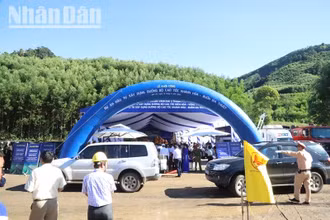 Dự án đầu tư xây dựng đường bộ cao tốc Khánh Hòa-Buôn Ma Thuột giai đoạn 1 được khởi công vào ngày 18/6/2023 nhưng đến nay diện tích rừng thuộc Dự án thành phần 2 nằm trên địa bàn huyện Krông Bông, M'Drắk mới có quyết định chuyển sang mục đích khác để thực hiện dự án.