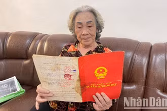 Bà Phạm Thị Cúc đang giữ Giấy chứng nhận quyền sử dụng thửa đất số 79, tờ bản đồ số 24 đã được Ủy ban nhân dân thành phố Buôn Ma Thuột cấp Giấy chứng nhận số D 1477794 ngày 14/11/1994, bà yêu cầu chính quyền địa phương chỉ đất ngoài thực địa nhưng không chỉ được. 