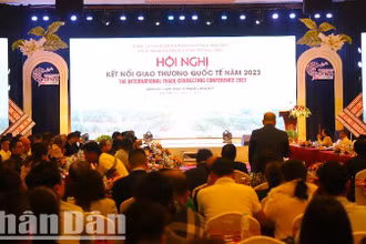 Hội nghị kết nối giao thương quốc tế tại Lễ hội Cà-phê Buôn Ma Thuột lần thứ 8 năm 2023. 