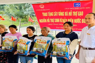 Hỗ trợ gạo và cây trồng rừng giúp bà con vùng thủy điện ổn định cuộc sống và bảo vệ rừng tốt hơn.