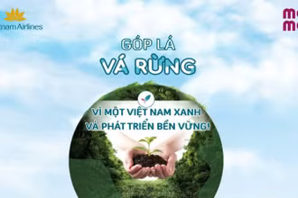 Chiến dịch “Góp lá vá rừng - Vì một Việt Nam xanh và phát triển bền vững” đã xanh hóa hơn 27 hecta rừng.