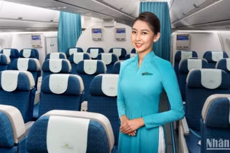 Từ ngày 14/1/2025, Vietnam Airlines đã triển khai hạng ghế Phổ thông đặc biệt trên toàn mạng bay nội địa.