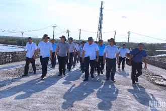 Đoàn công tác của Bí thư Tỉnh ủy và Chủ tịch Ủy ban nhân dân tỉnh Cà Mau kiểm tra tiến độ xây dựng cầu Gành Hào vào chiều 17/3. 