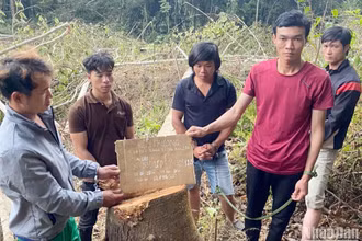 Các đối tượng liên quan vụ phá rừng tại tiểu khu 287 dựng lại hiện trường.