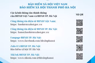 Một số kênh thông tin chính thống của cơ quan bảo hiểm xã hội Việt Nam. (Ảnh: HSS)