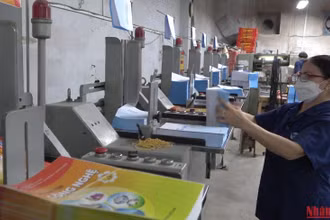 Nhà xuất bản Giáo dục Việt Nam triển khai in sách giáo khoa phục vụ năm học mới.
